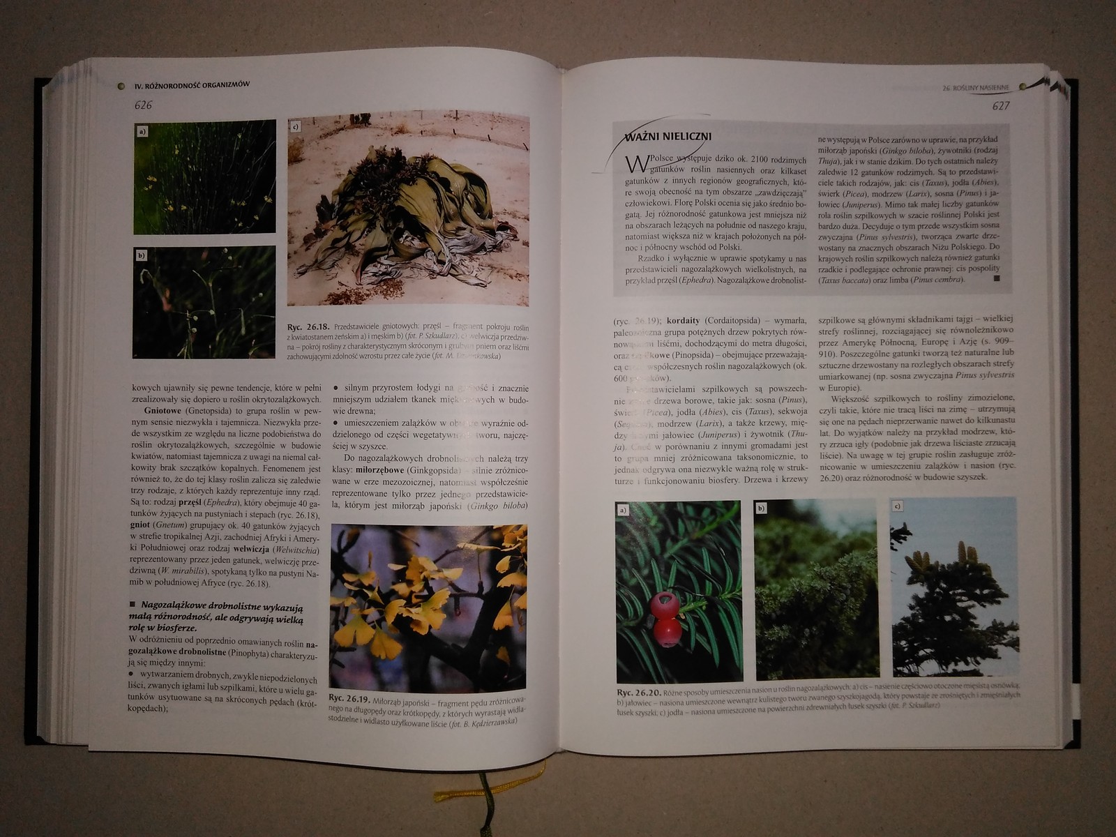 Jedność I Różnorodność Biologia BIOLOGIA JEDNOŚĆ I RÓŻNORODNOŚĆ PWN - 7206350794 - oficjalne archiwum