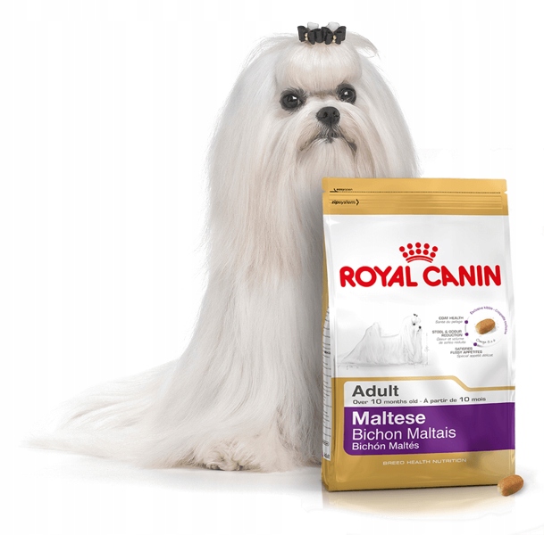 Jaka Karma Dla Maltańczyka Na Zacieki ROYAL CANIN Maltese karma sucha dla maltańczyka - 7572518266
