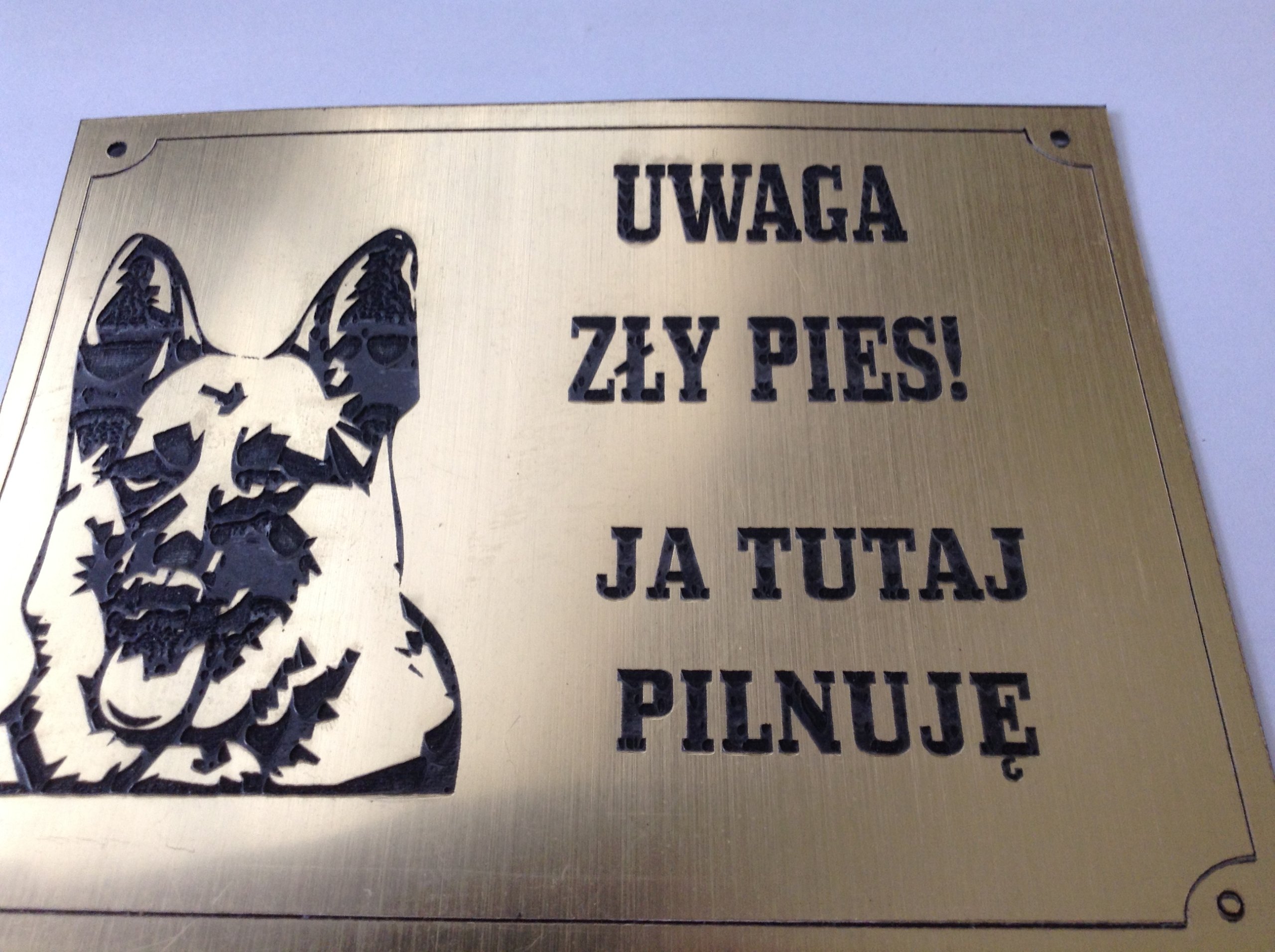 

tabliczka ostrzegawcza Uwaga pies!!!