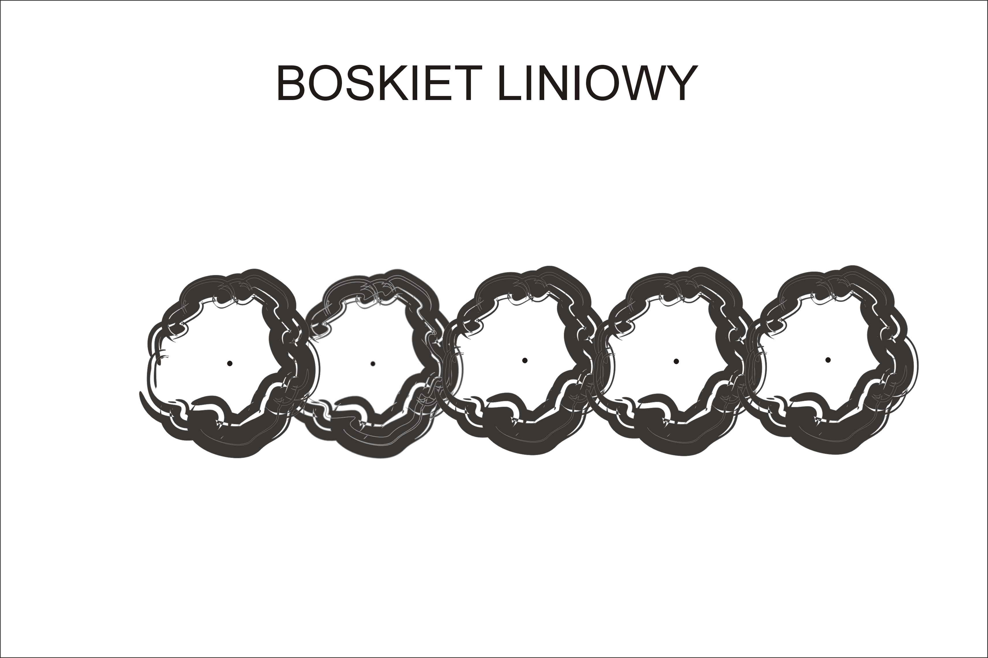 lineárny delič