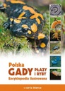 Polska Gady płazy i ryby Encyklopedia ilustrowana Praca zbiorowa