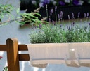 фото mini №6, Hanger hangplast-white