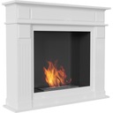 фото mini №8, Biofireplace november white portal english+ glass+ biofuel flavored