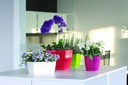 фото mini №2, Small flowerpot з stand gloss 100xh95mm graphite