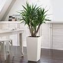 фото mini №8, Flowerpot lechuza cubico color 30 muszkat