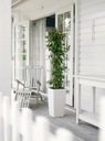 фото mini №14, Flowerpot lechuza cubico color 30 muszkat