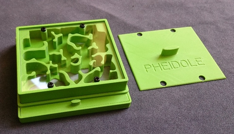 Formikarium druk 3D, Formicarium. Mrówki