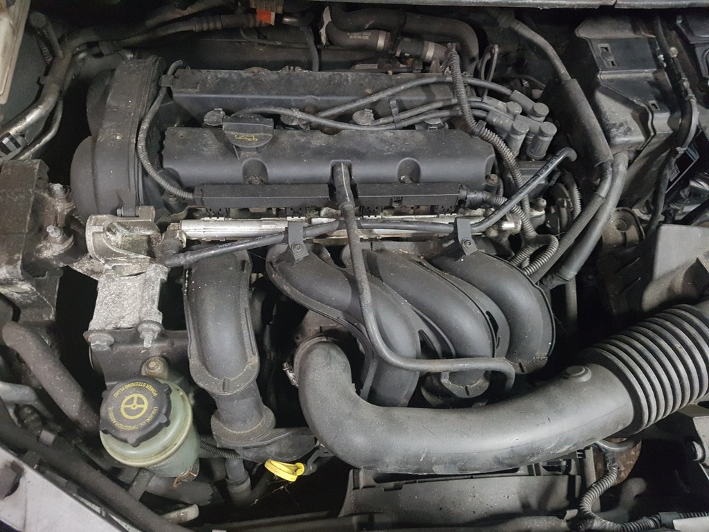 SILNIK 1.6 16V DURATEC 74kW 100KM FOCUS MK2 C-MAX