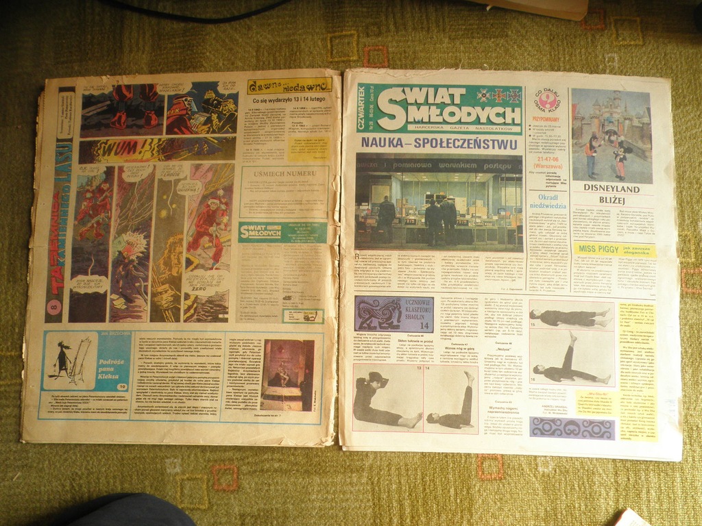 ŚWIAT MŁODYCH KOMIKS TAJEMNICA KAMIENNEGO LASU x2