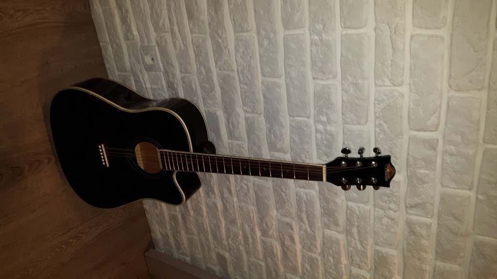 Gitara Ariana L806