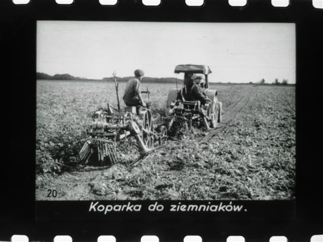 Traktor - Koparka do Ziemniaków - Lata '60/'70 PRL