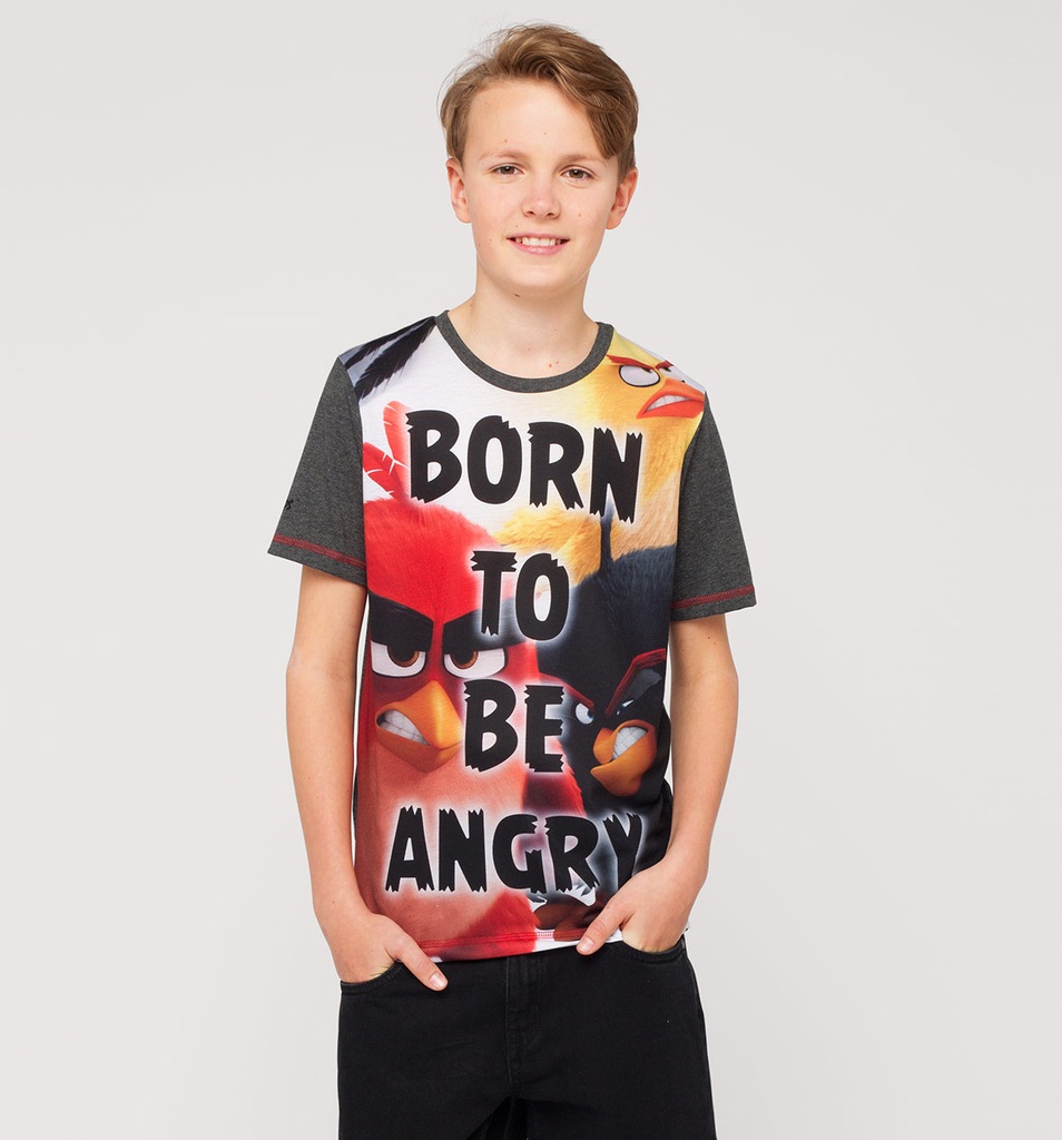 C&A szary  T-shirt  ANGRY BIRDS 146/152
