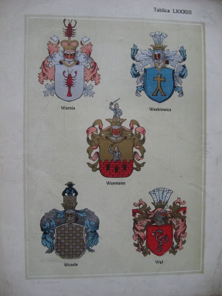 HERBY szlachty Warnia, Wąż, Wczele LITOGRAFIA 1908
