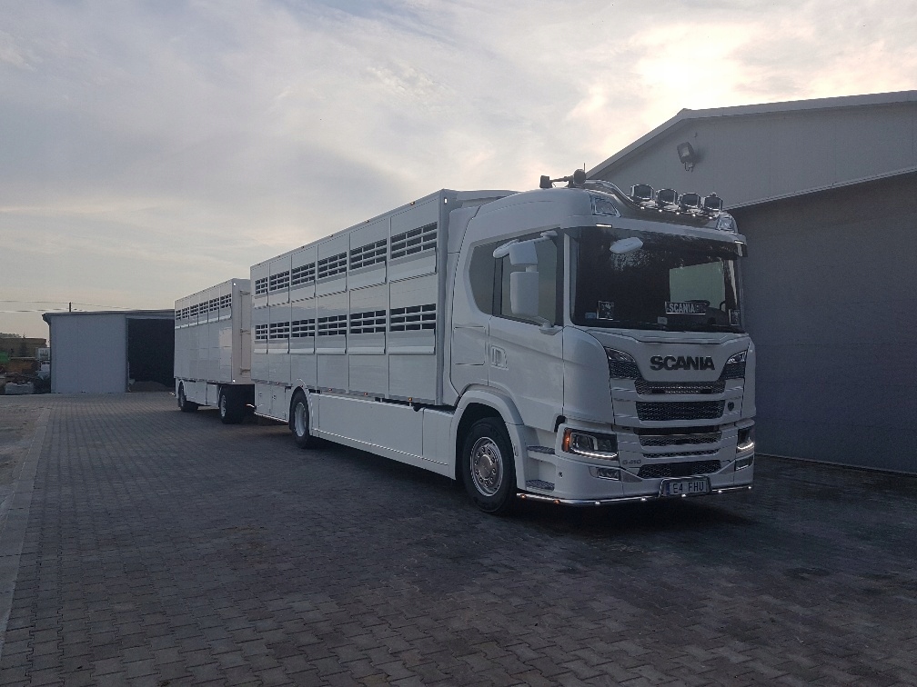 SCANIA G410 zestaw do przewozu zwierząt bydła