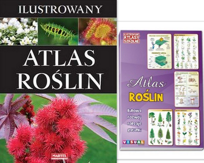 Ilustrowany Atlas Rośliny Botanika flora gatunki