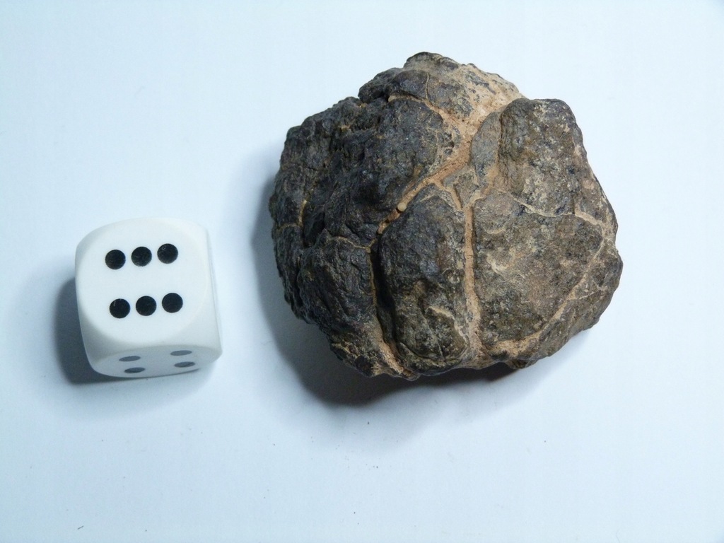 Meteoryt Nwa-96.4g