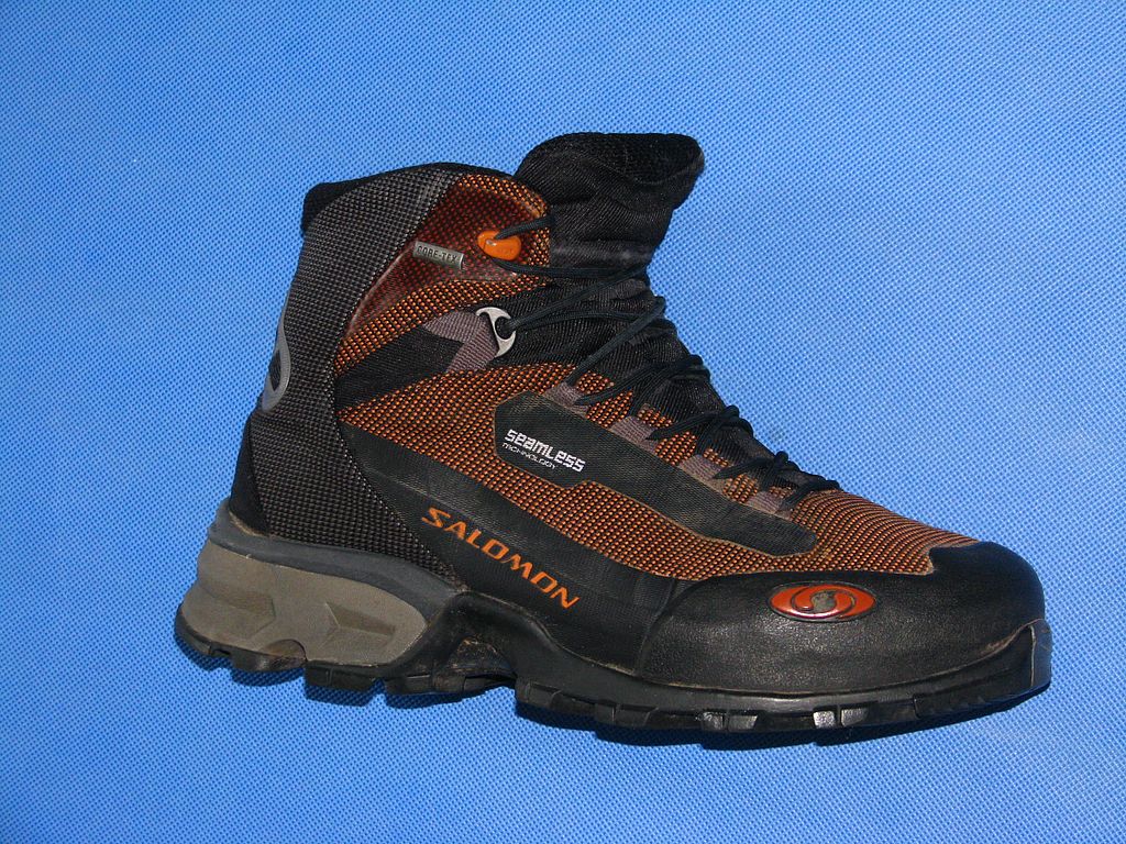 salomon 3d fit