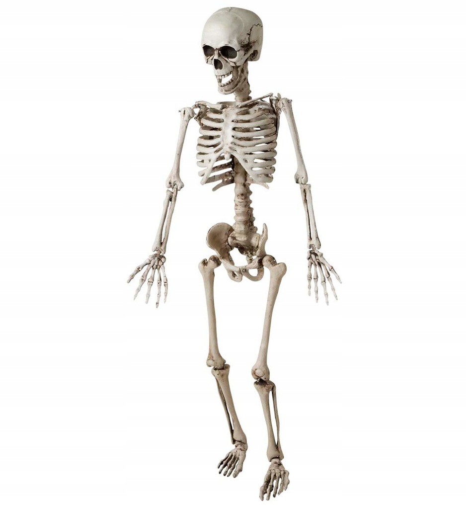SZKIELET KOŚCIOTRUP 120 CM DEKORACJA HALLOWEEN