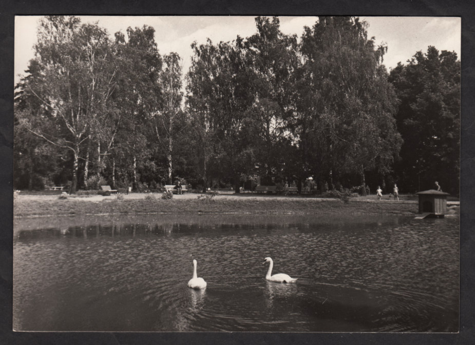 03 / Środa Wlkp. - Park