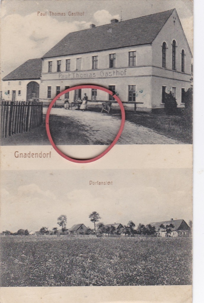 Biskupin Kolonia -- 1920 r. pow. Legnica