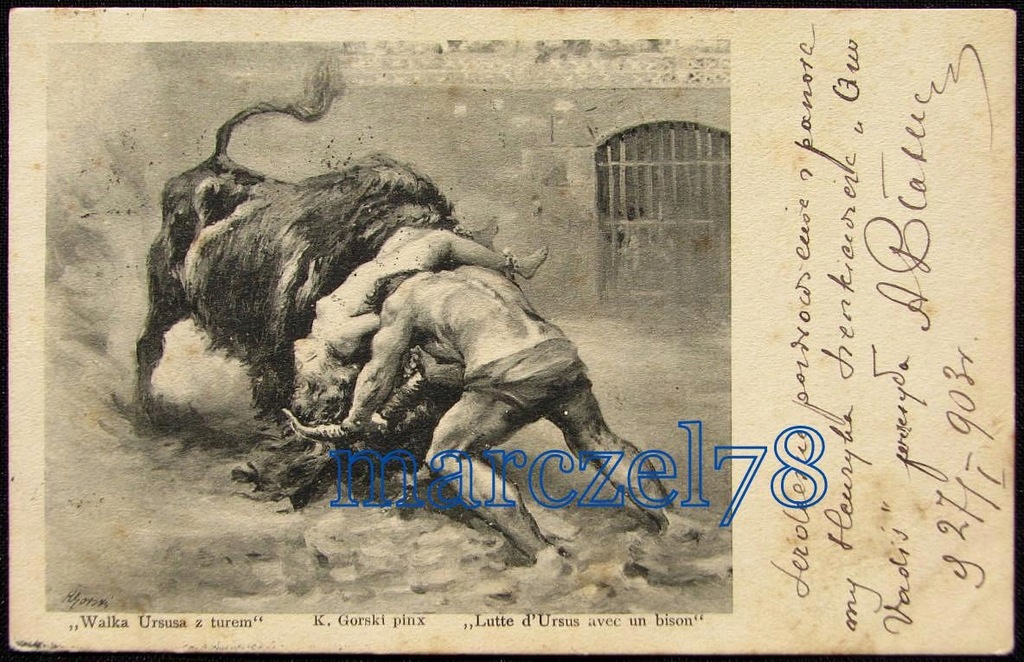 WALKA URSUSA Z TUREM - WARSZAWA - ŁUKÓW 1903