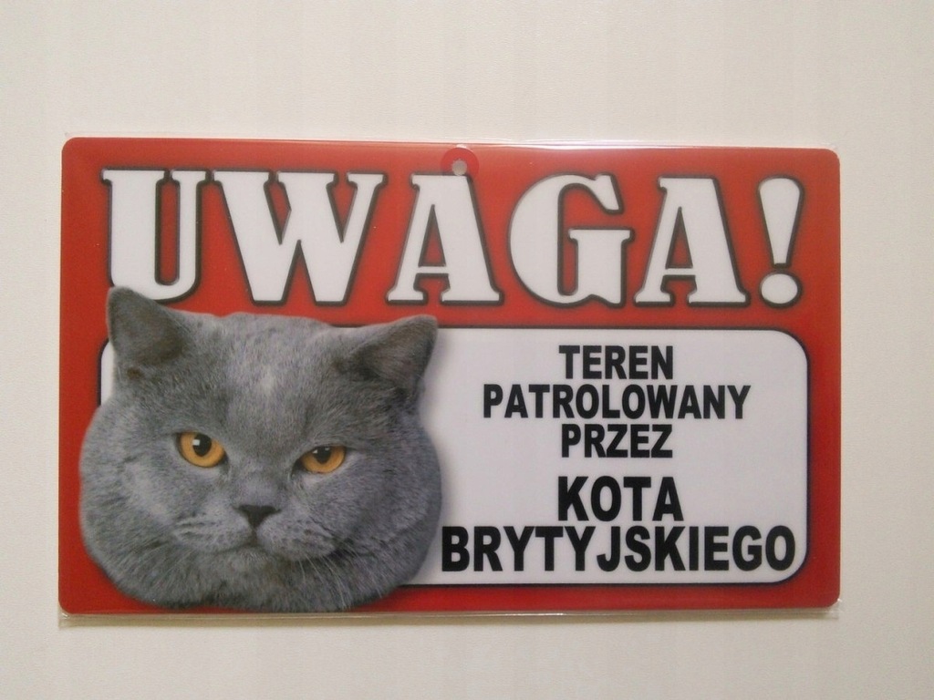 Tabliczka ostrzegawcza ..PATROLOWANY/Kot Brytyjski