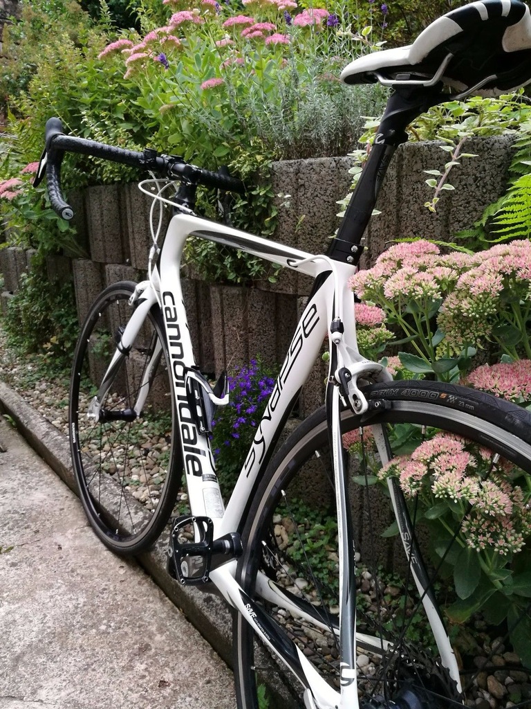 cannondale synapse cena