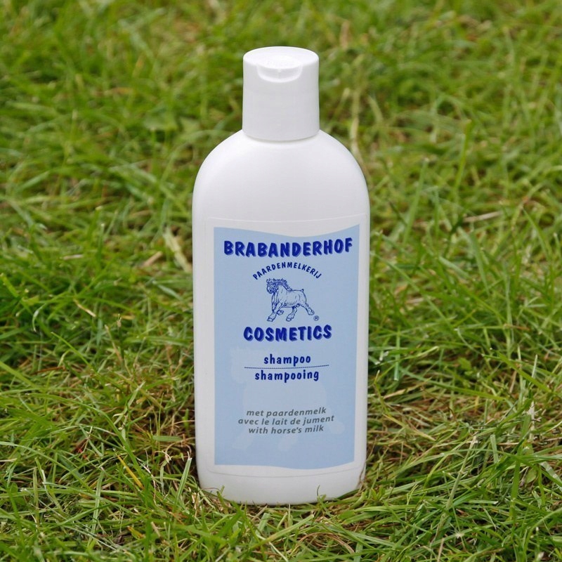 PSM SZAMPON Z MLEKIEM KLACZY 250ML
