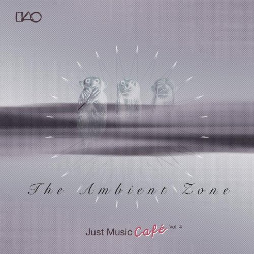 CD V/A - Ambient Zone Just Music Cafe Vol 4