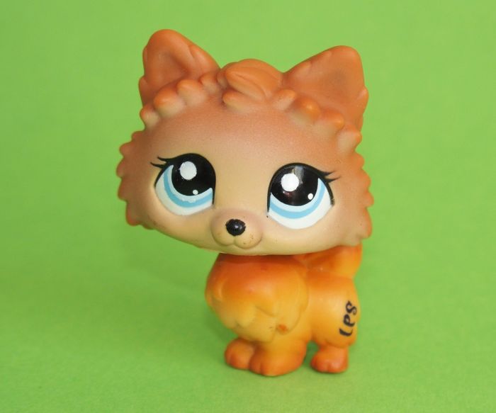 Littlest pet best sale shop pomeranian