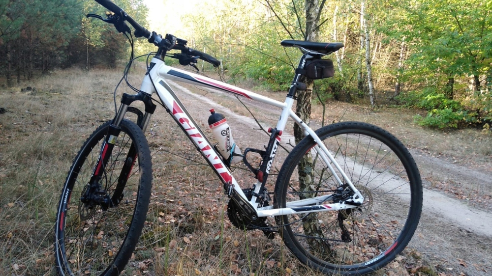 Rower crossowy Giant roam 1 7591871678 oficjalne archiwum Allegro