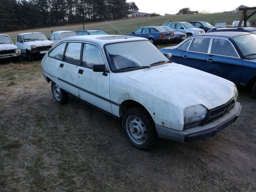 Citroen Gsa Pallas