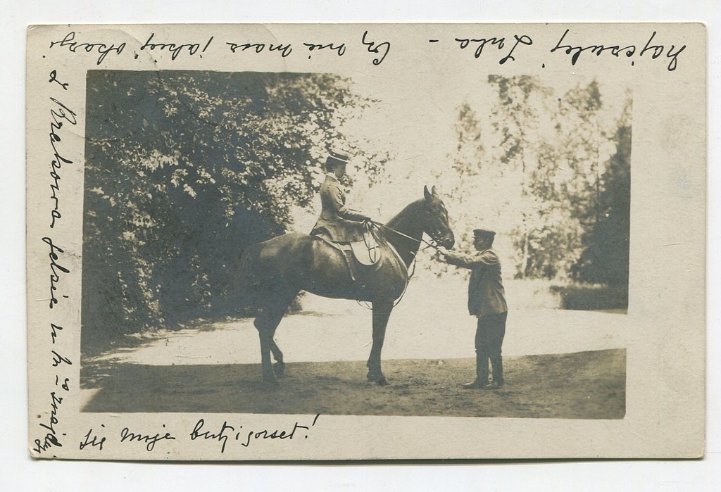 pocztówka KOŃSKIE Hrabina Tarnowska koń 1909