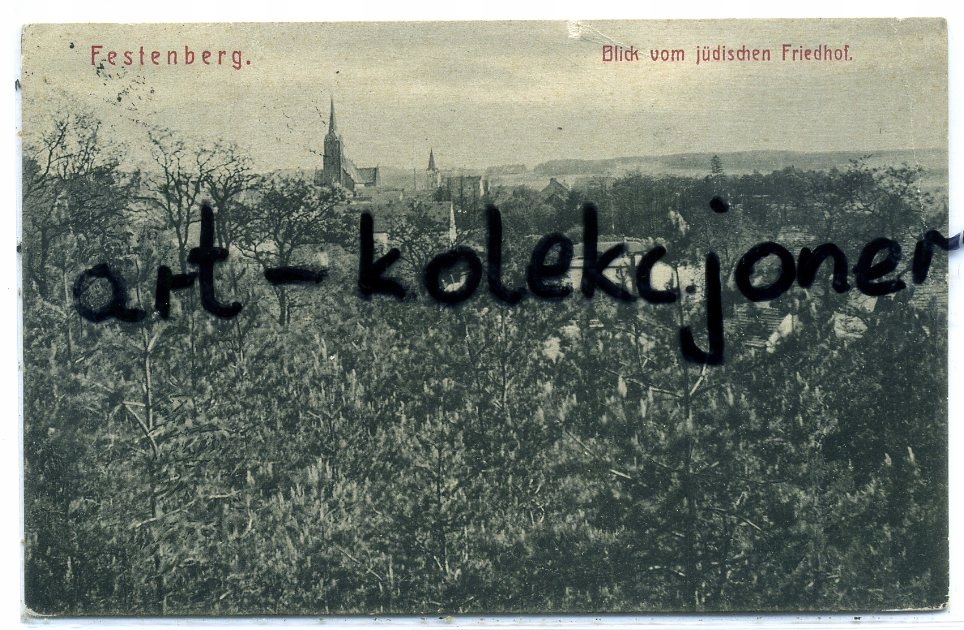 Twardogóra - Festenberg - Total - Ciekawa