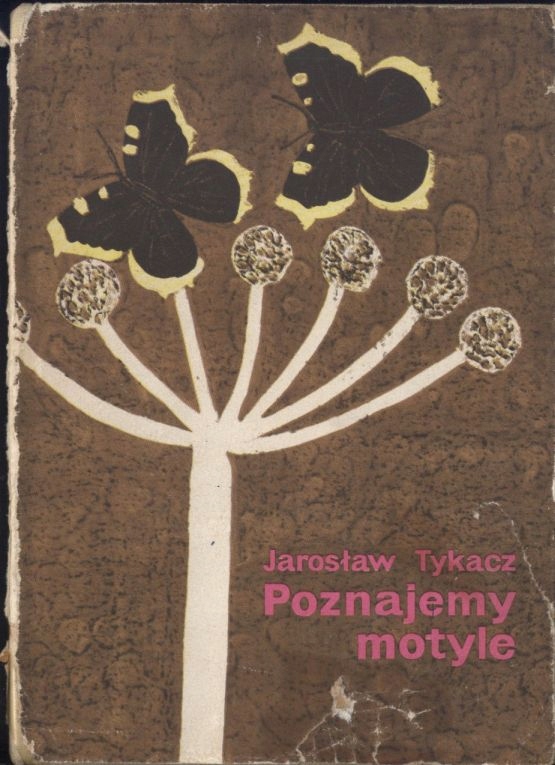 Jarosław Tykacz - Poznajemy motyle