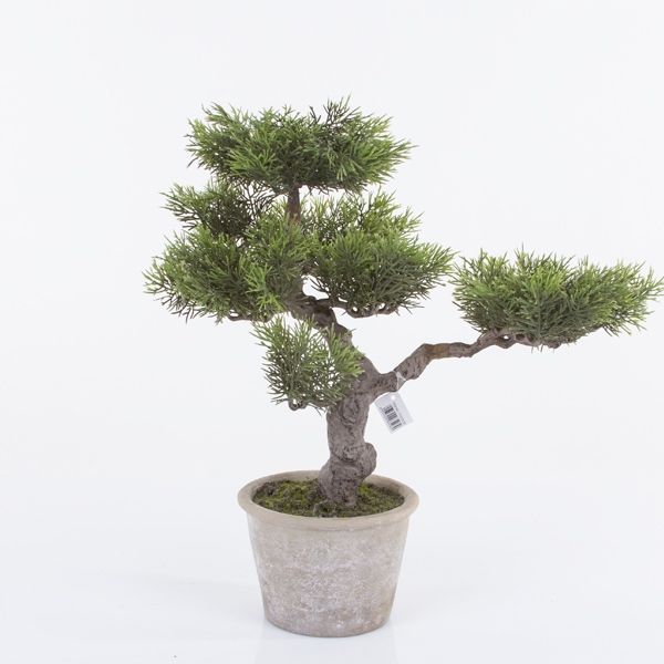 sztuczne drzewko BONSAI Cedr 40 cm sztuczny bonsai