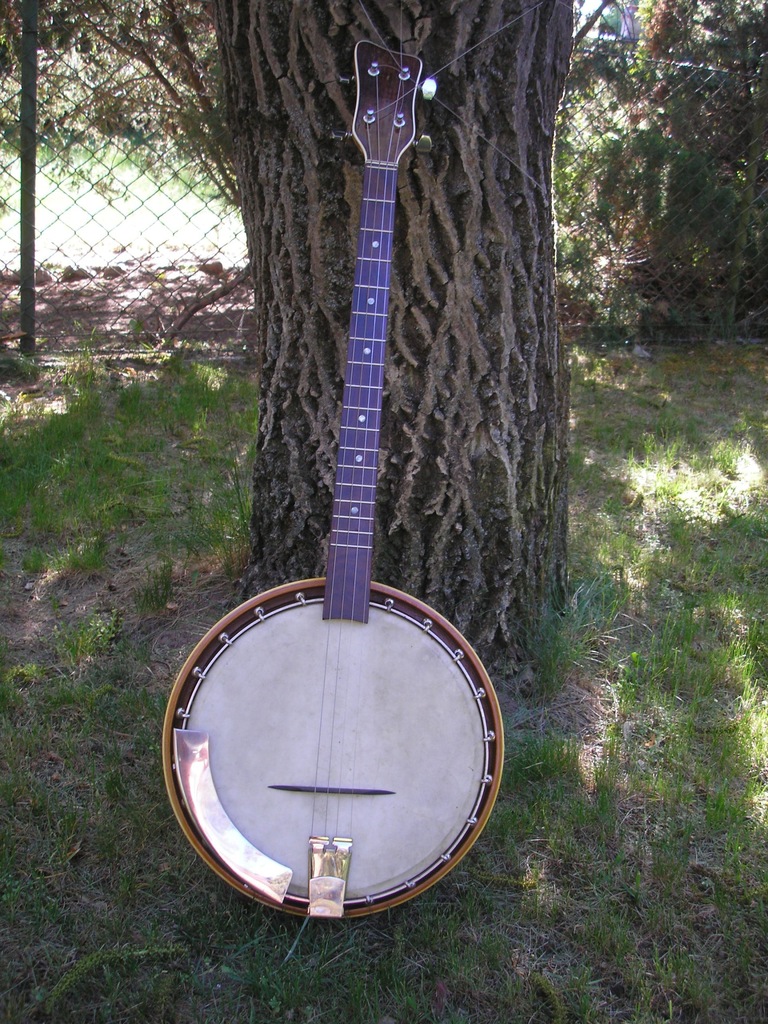 Banjo tenorowe - 4 strunowe, bandżo, wyszykowane