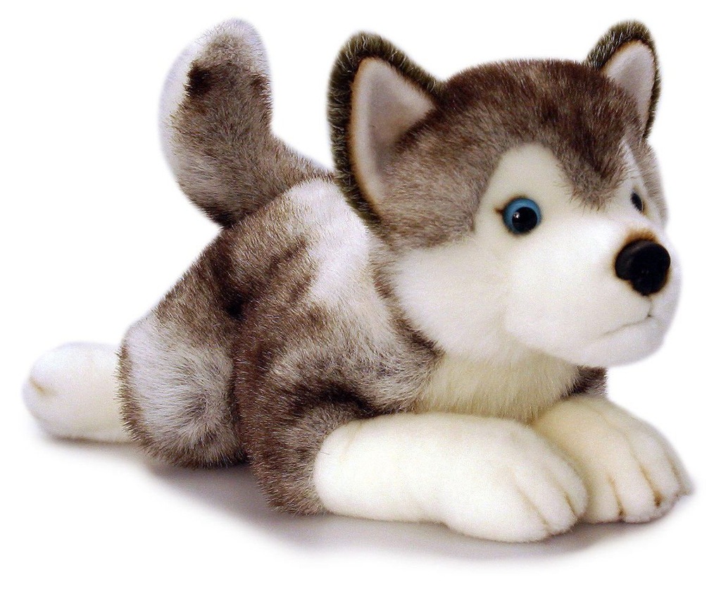 Maskotka Piesek Pluszak Pies HUSKY Storm 50cm 24H