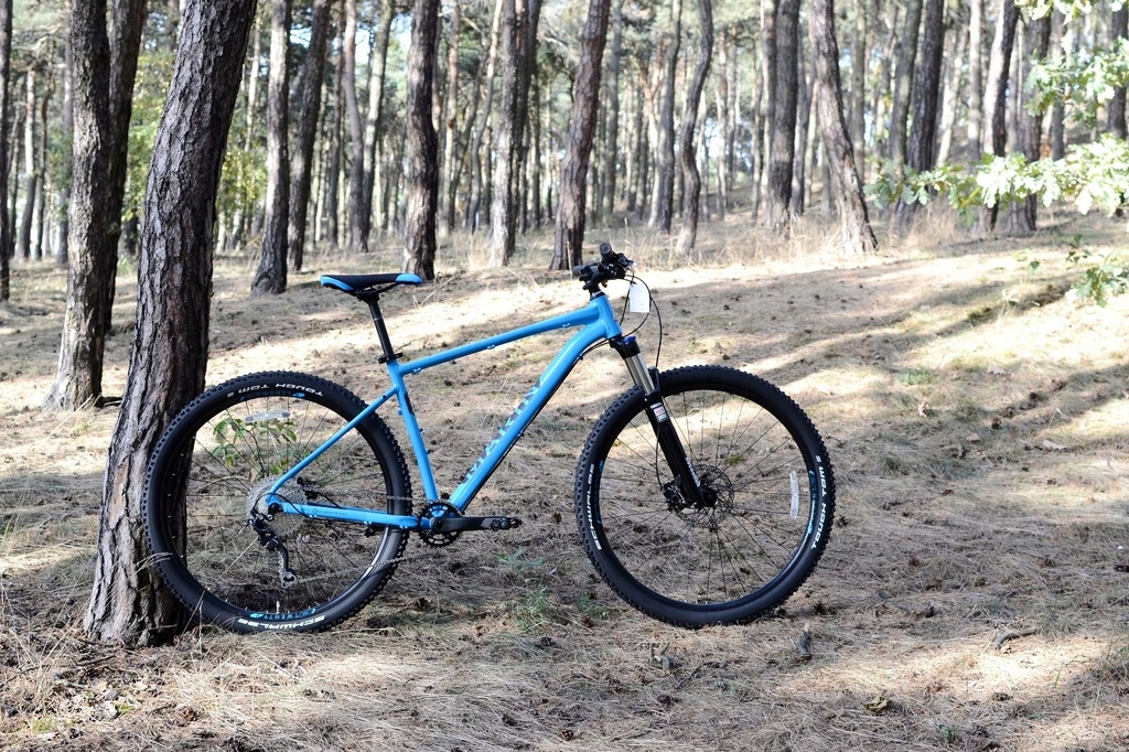 2018 marin bobcat trail 5