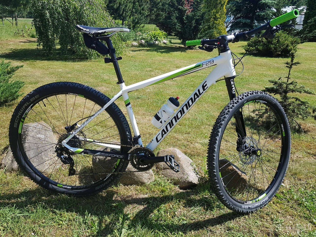 cannondale f29 lefty