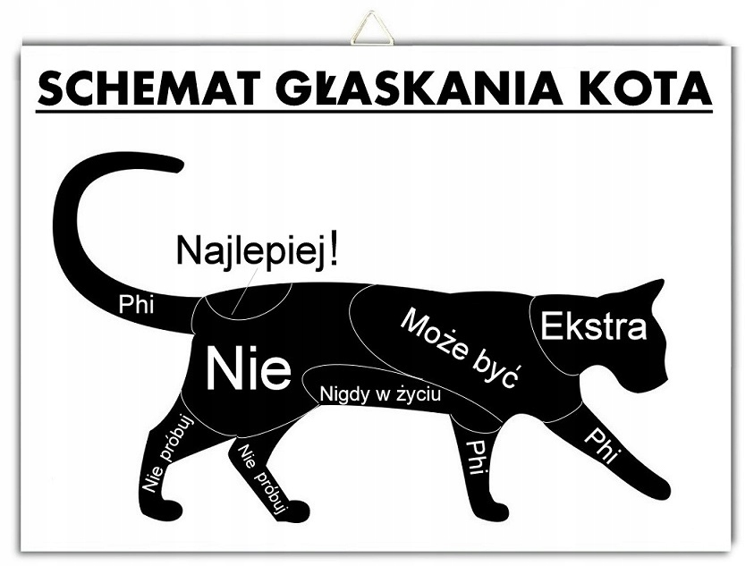 Tabliczka KOT- SCHEMAT GŁASKANIA KOTA