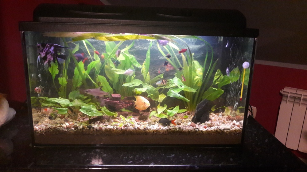 Akwarium 120l