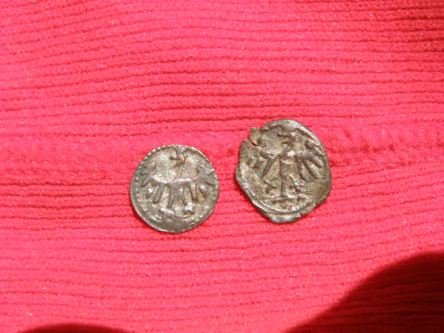 denary Olbrachta