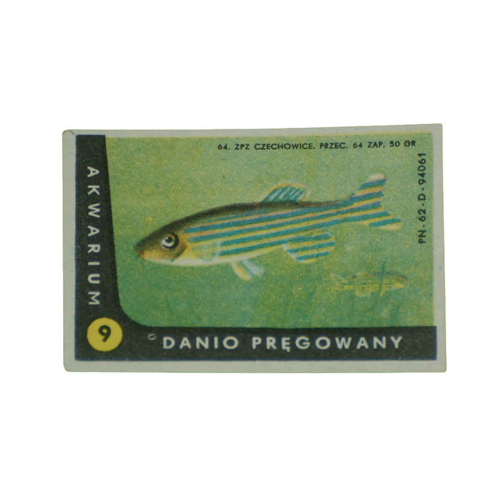 ETYKIETA AKWARIUM 9 DANIO PRĘGOWANY CZECHOWICE