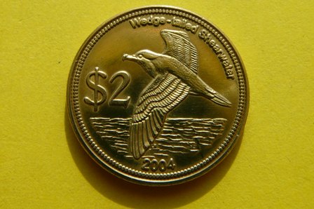 2$ -WYSPY KOKOSOWE 2004 -PTAK BURZYK KLINOSTERNY