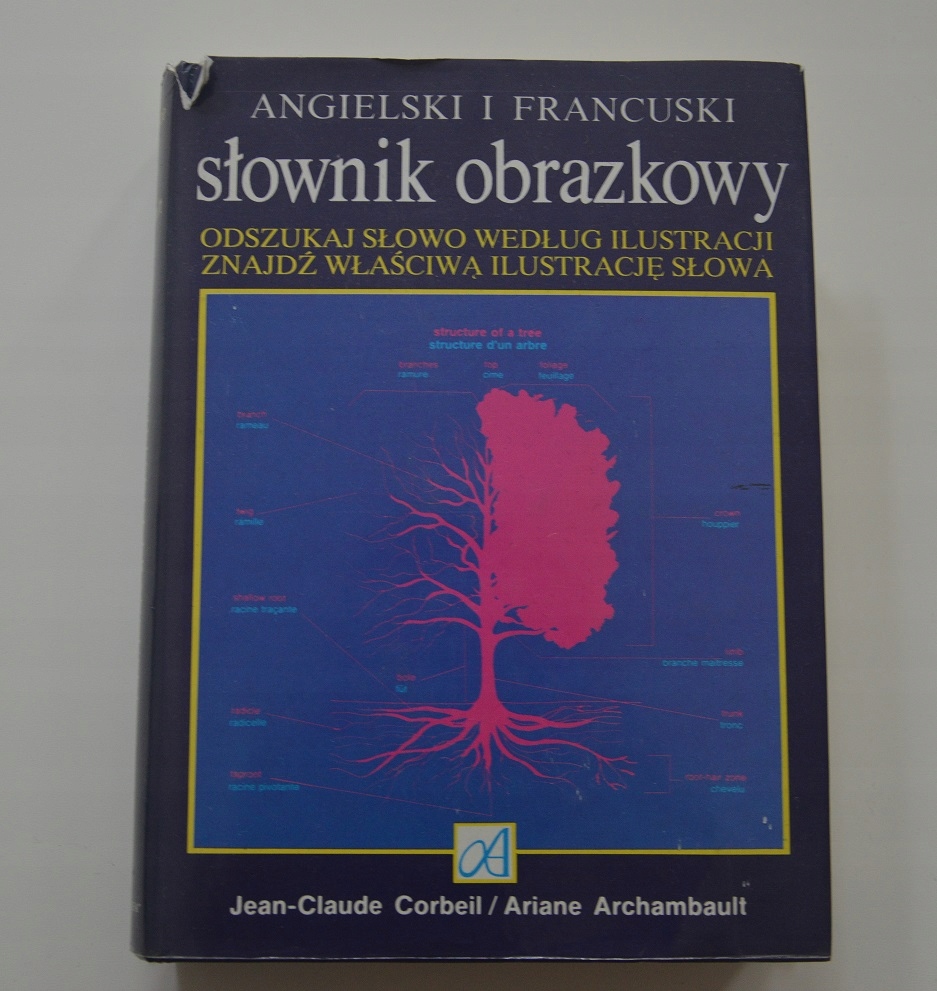 Słownik tematyczny, obrazkowy angielski, francuski