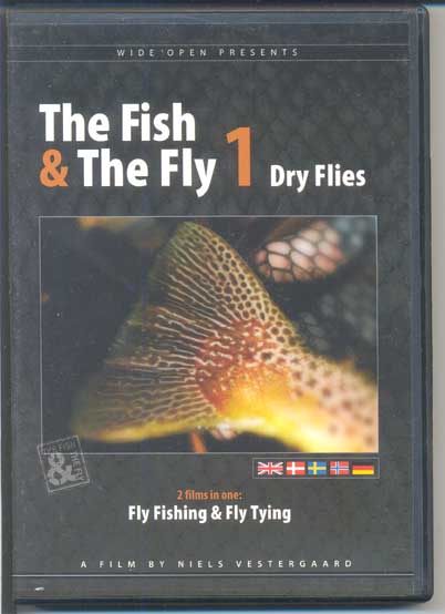 The fish & the fly 1