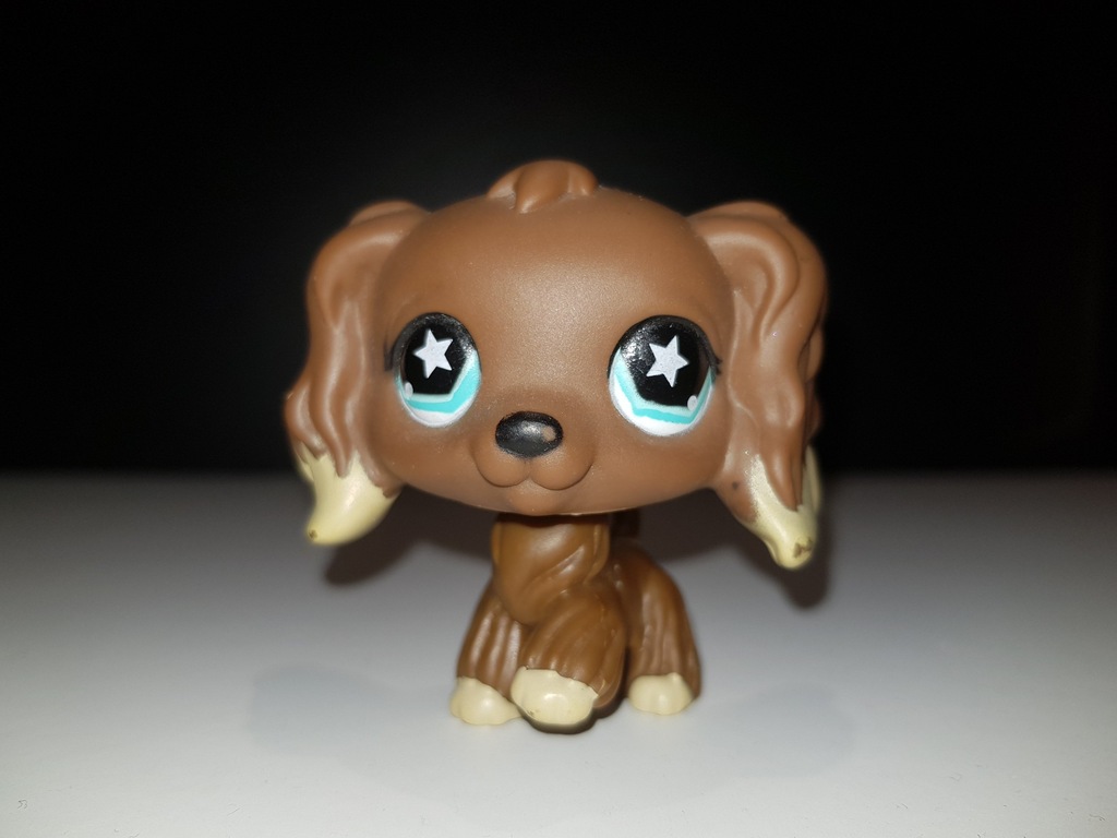 LPS spaniel #959