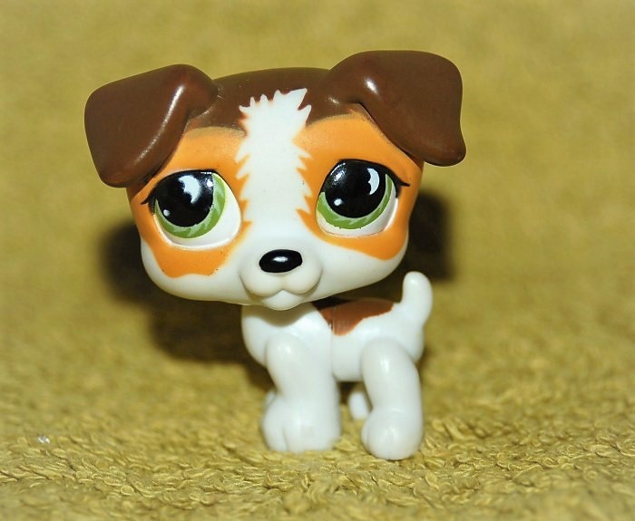 Lps jack russell best sale