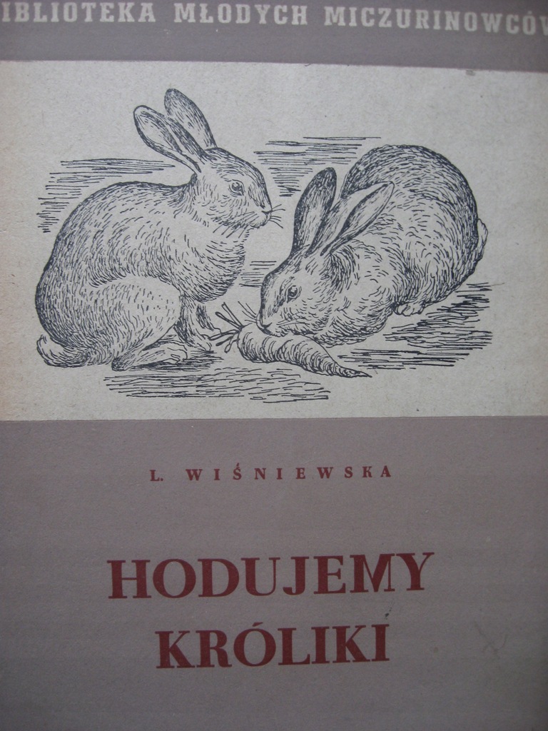 KRÓLIKI Hodujemy króliki Hodowla - Wiśniewska